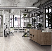 Линолеум Profi Strong Plus TOLEDO 13