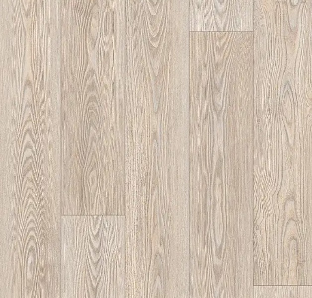 Линолеум Profi Master GLOSTER 4