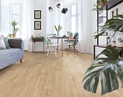 Линолеум Profi Master HAVANNA OAK 10