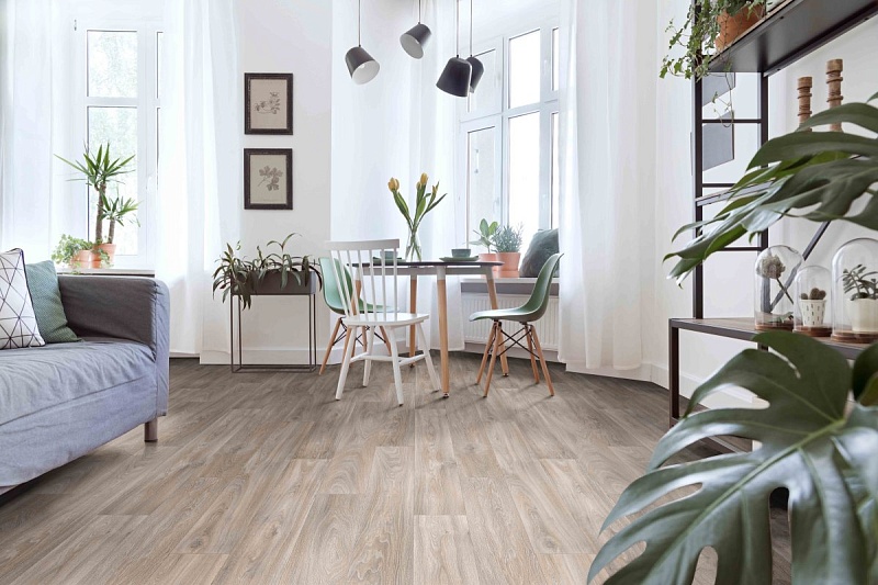 Линолеум Profi Master HAVANNA OAK 1