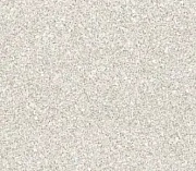 Линолеум Tarkett Sprint Pro MEDANO 1